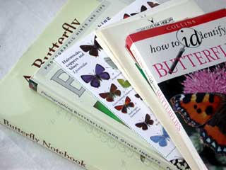 butterfly books in print